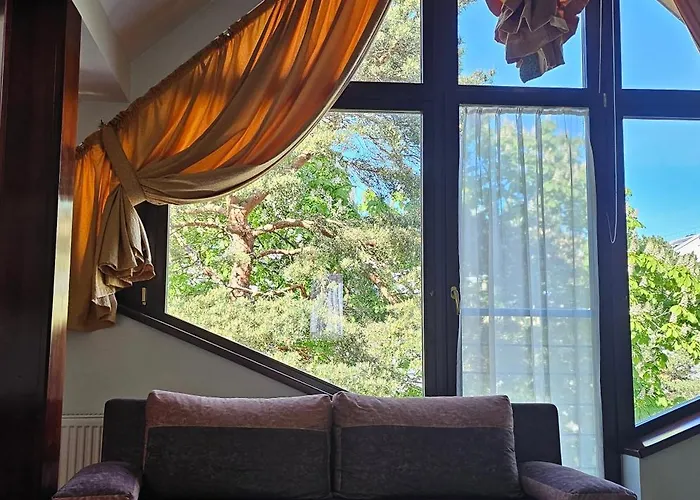 & Astoma * 팔랑가