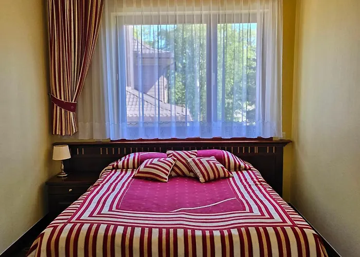 홈스테이 & Astoma